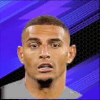 ジエゴ・カルロス画像