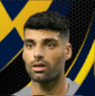 メフディ・タレミ画像