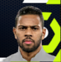 ヘナン・ロジ画像