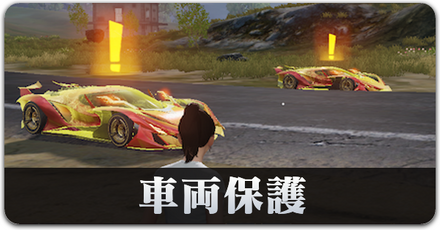 車両保護　サムネ