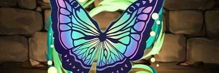 【10888】シャウアプフの羽