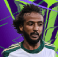 HPヤシルアルシャフラニ(01/11)画像