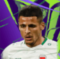 HPアリアルハマディ(01/11)画像