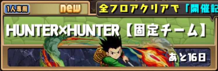 H×H固定チーム