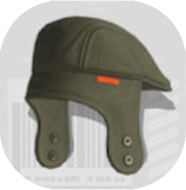 グンチンハ画像