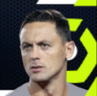 ネマニャ・マティッチの画像