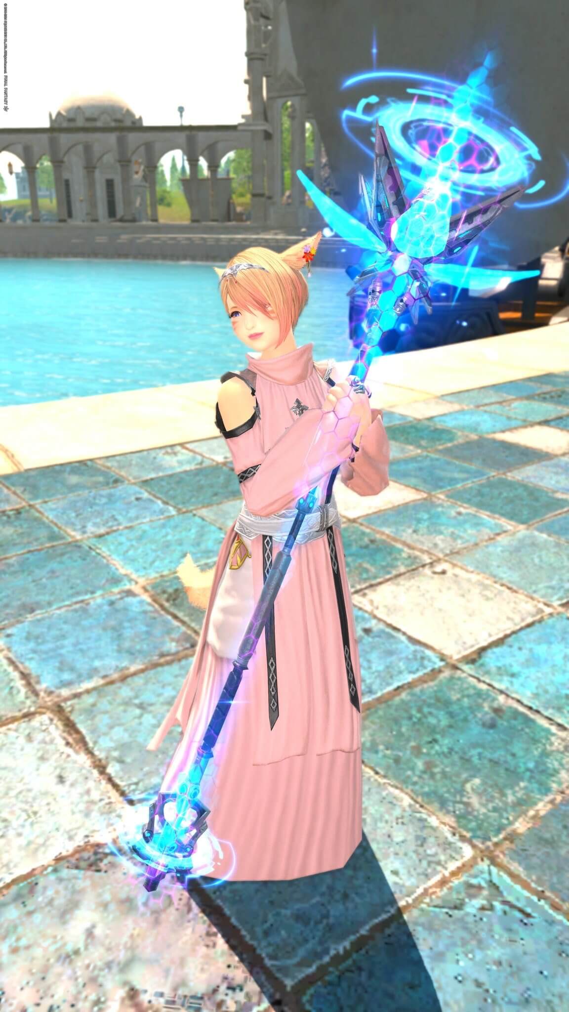 マンダヴィラス・ケーンの画像