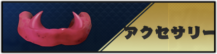 アクセサリー