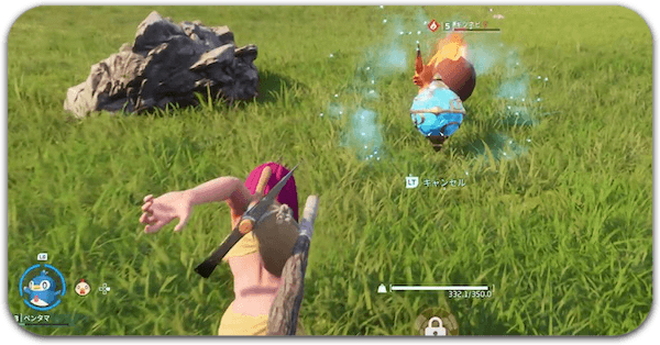 捕獲のやり方とコツ