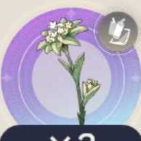 絶滅寸前の薬草の画像