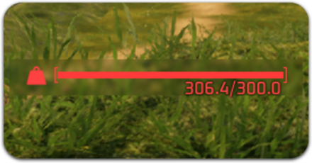 重量オーバーの対処方法