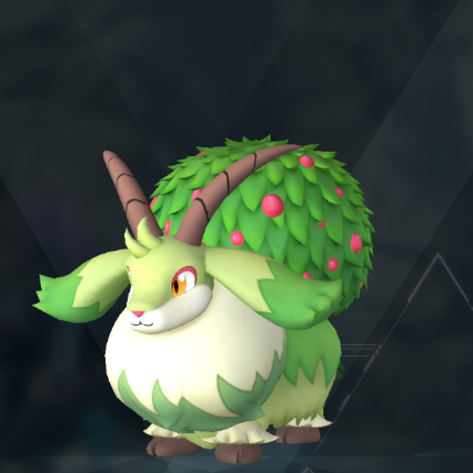 ベリゴート画像