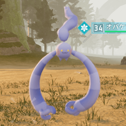 オバケナワ画像