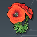 きれいな花画像