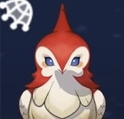 赤カンムリガラ画像