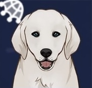 明灰ハウンドの画像