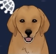 琥珀ハウンドの画像