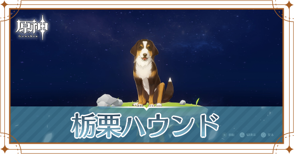 栃栗ハウンドの入手場所と使い道