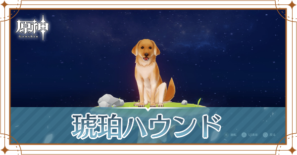 琥珀ハウンドの入手場所と使い道