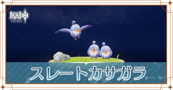 スレートカサガラの入手場所と使い道