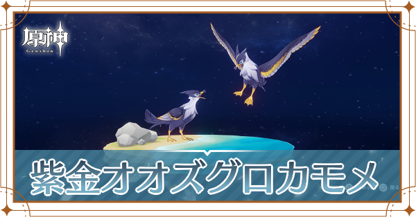 紫金オオズグロカモメの入手場所と使い道