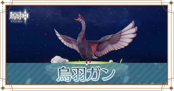 烏羽ガンの入手場所と使い道