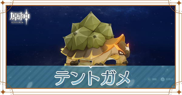 テントガメの入手場所と使い道