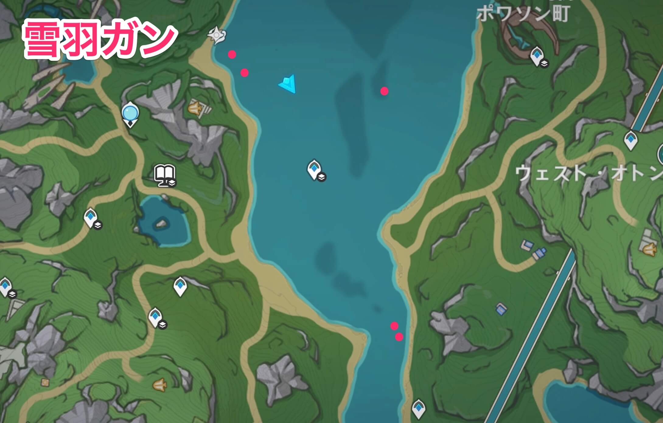 雪羽ガンのマップ画像