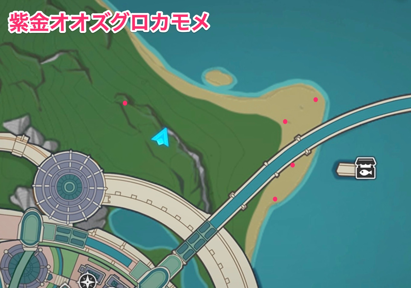 紫金オオズグロカモメのマップ画像