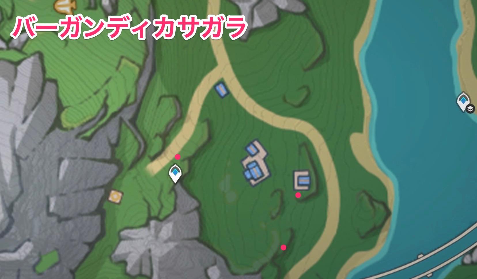 バーガンディカサガラのマップ画像