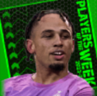 TPノアオカフォー(01/25)画像