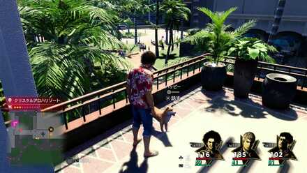 ハッピーの場所