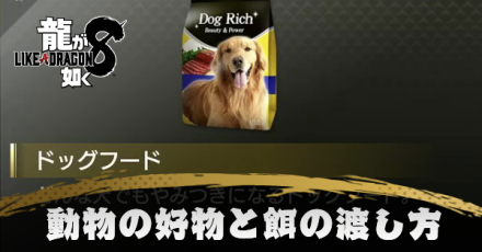 動物の好物と餌の渡し方