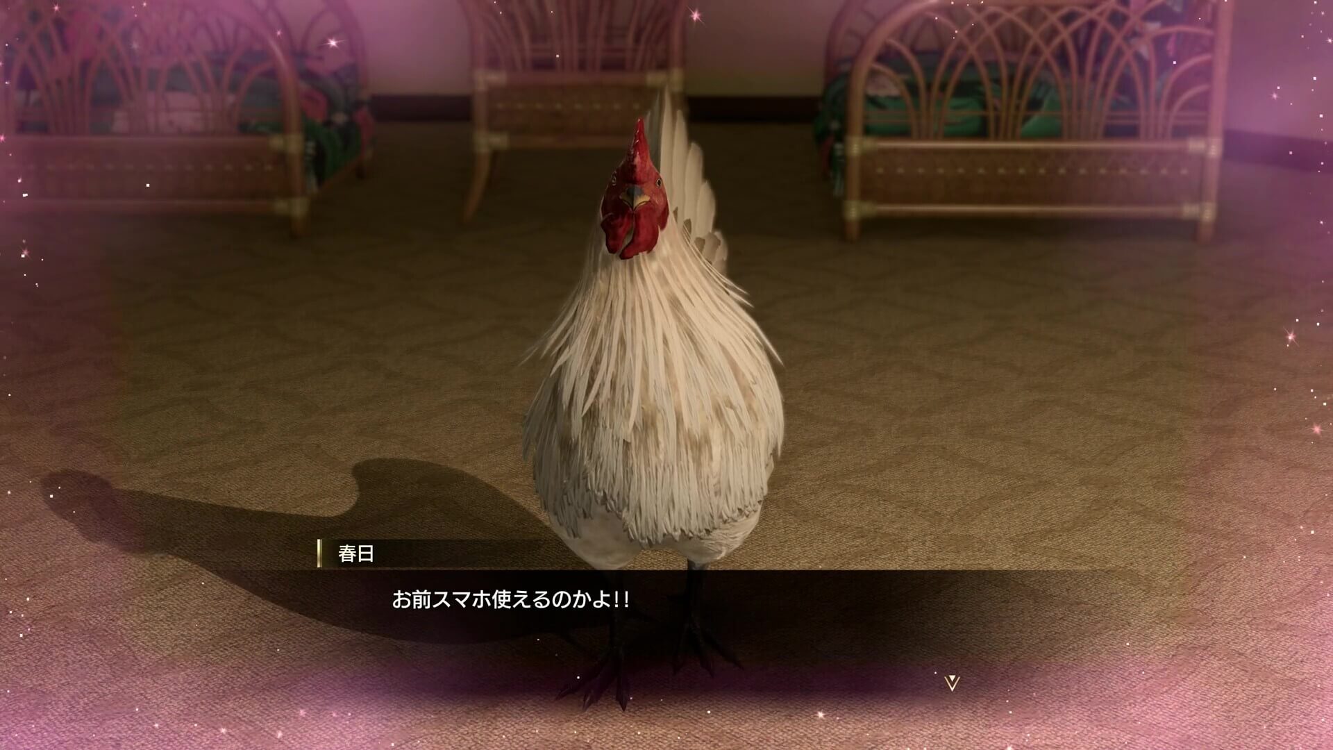 まさかのニワトリ