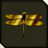 金のトンボ画像