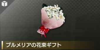 プルメリアの花束ギフト