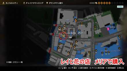 レイと花の店　メリアで購入