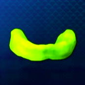 極技マウスガード画像