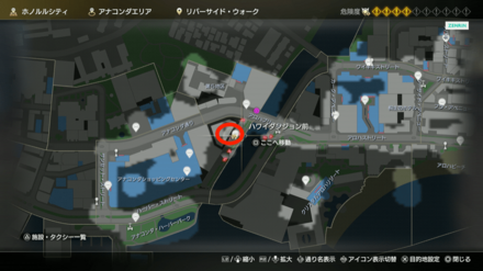 ハワイの迷宮画像