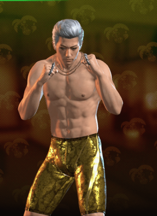 ハンジュンギの水着衣装