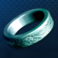 チャンピオンの指輪画像