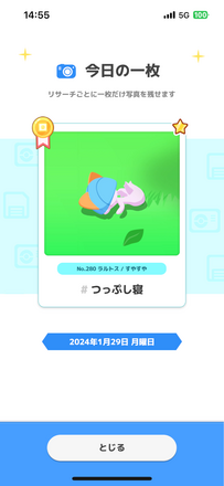 コメント画像