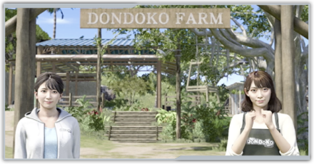 ドンドコファームの解放タイミング