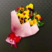 パンジーの花束ギフト画像