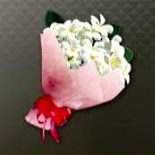 プルメリアの花束ギフト画像