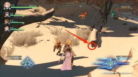 砂漠スニッパー1