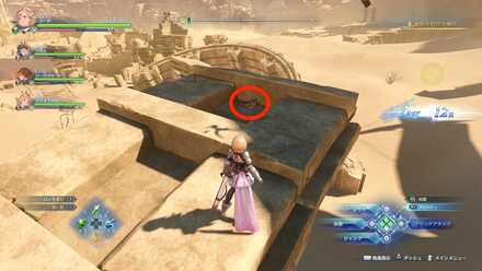 砂漠スニッパー4