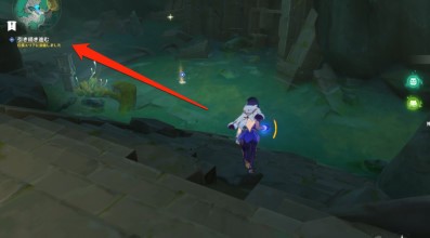 秘密の谷に潜む侠客の攻略