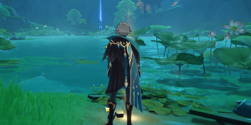 蓮池の写真を撮る