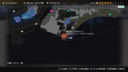 魅惑のビーチクイーン画像